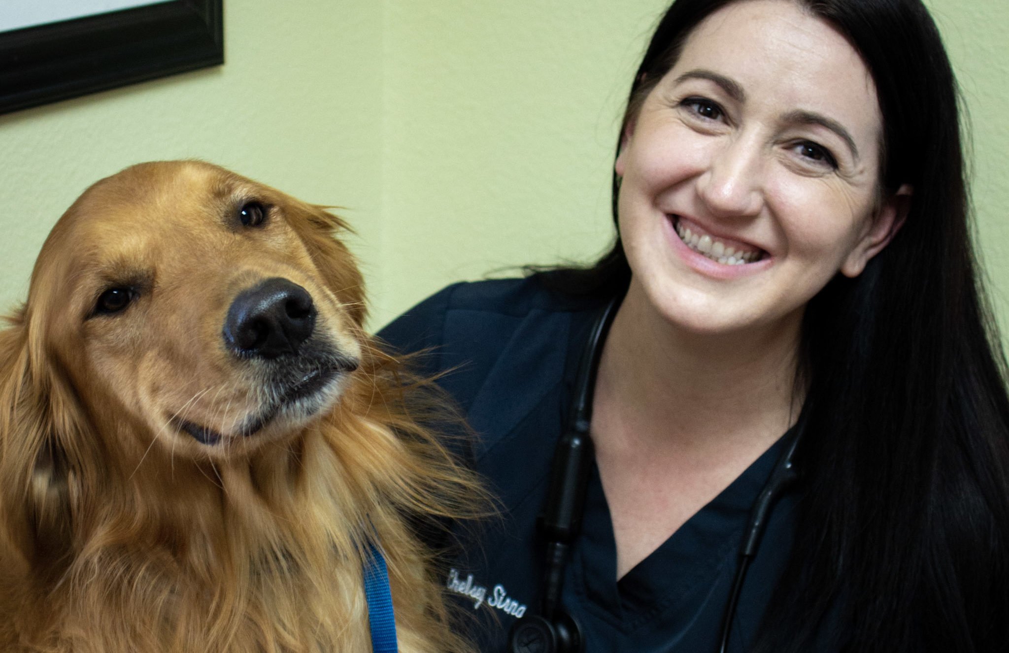 Dr. Sirna, veterinarian in Lee's Summit, posing next to happy golden retriever.